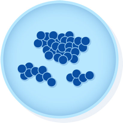Microbiologics : 01000K Enterococcus faecium derived from