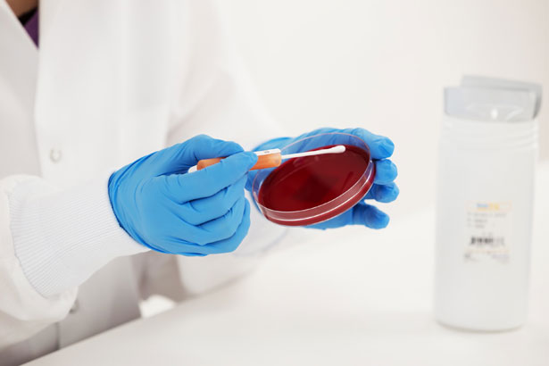 Microbiologics : 5218P Big 6 STEC QC Set