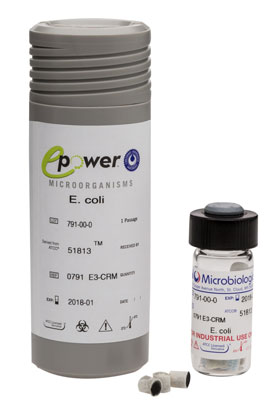 Microbiologics : 0486E4-CRM Bacillus spizizenii derived from