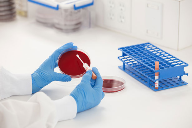 B●scientifica　306-14-4 Forma Scientific Class II Type A/B3 Biological Safety